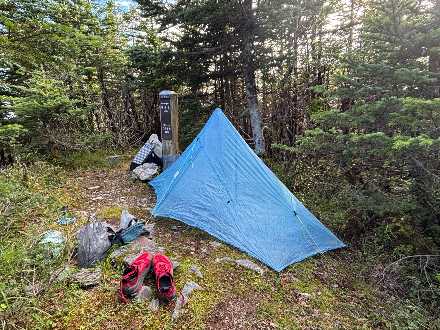 樹林のテント場